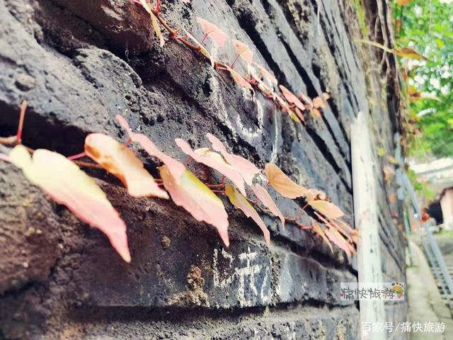一条遗忘在自贡东北部的“山城步道”-6.jpg
