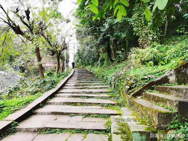 一条遗忘在自贡东北部的“山城步道”-9.jpg