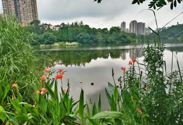 自贡南湖生态公园，原本乡间水库，现为都市美丽休闲场所-4.jpg