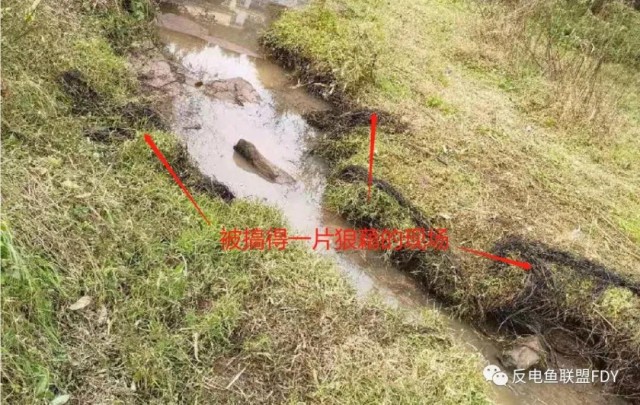 自贡抖音网红大V“农村拐哥”直播捕鱼，被警察“请”进派出所！-5.jpg
