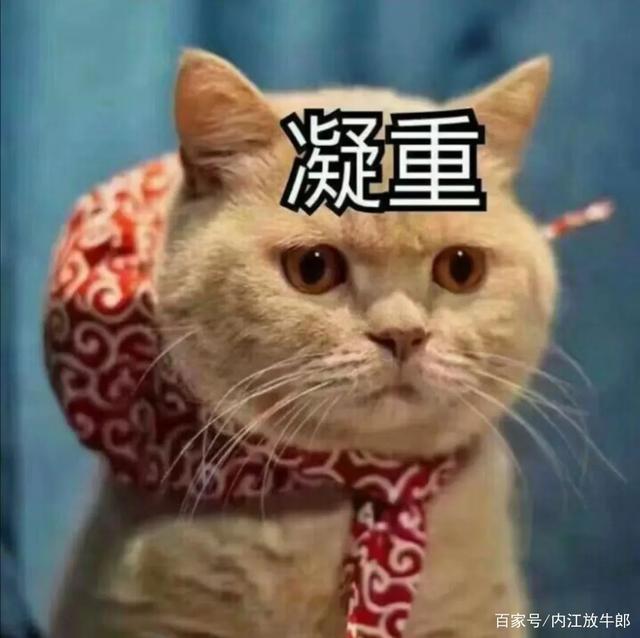 大快人心！仅一个月，自贡又抓获涉毒人员44名！-6.jpg