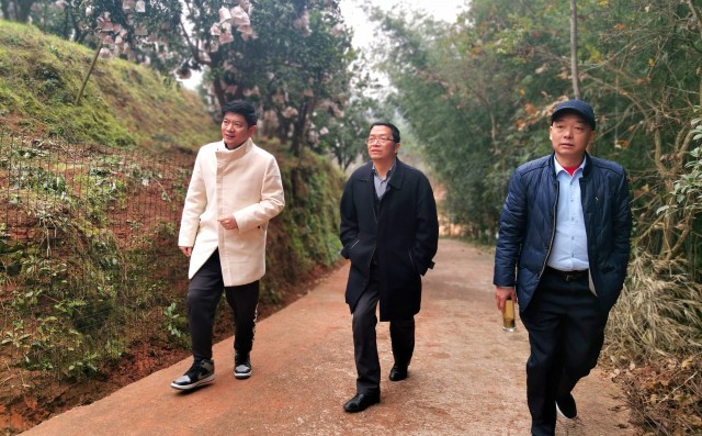 网红直播下乡村,助力川南一体化-4.jpg