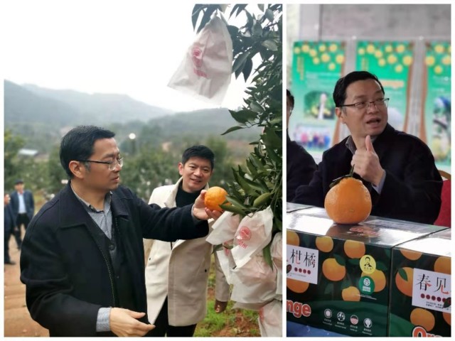 网红直播下乡村,助力川南一体化-5.jpg