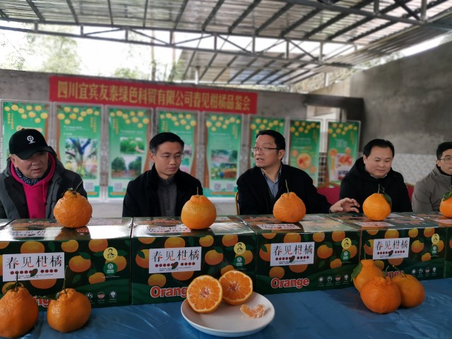 网红直播下乡村,助力川南一体化-2.jpg