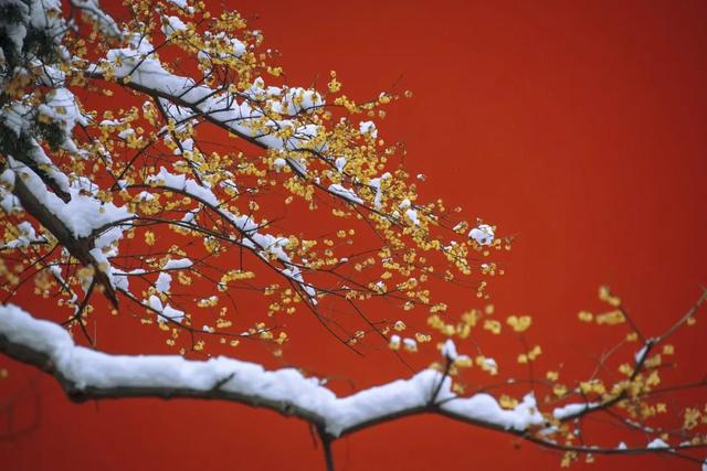 注意！自贡发布强降温蓝色预警，要下雨！夹！雪！-1.jpg