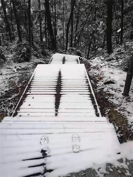 自贡城区飘起雨夹雪 最低气温降至0-2℃-2.jpg