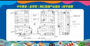 使用面积5万余平方米！自贡打造国内首个美食直播基地，预计10月运营-2.jpg
