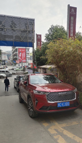 忽视禁停标志，两个小车遭了罚款-2.jpg