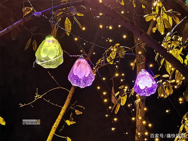 光影自贡｜年味渐浓的大安老城-7.jpg