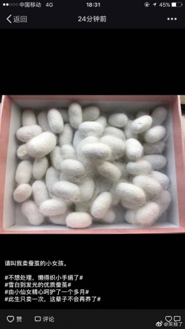 自贡一网友为了圆儿时的梦，一网友买了150只蚕宝宝-1.jpg