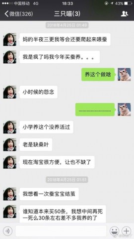 自贡一网友为了圆儿时的梦，一网友买了150只蚕宝宝-3.jpg