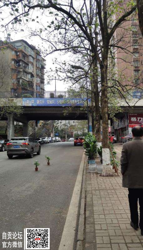 把花盆放在公路上只为宣传，无法无天！-1.jpg