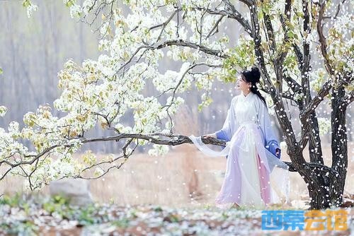 “共赴赏花之约，同享古寨之美”——大安区三多古寨3A级旅游景区推介活动即将启幕-8.jpg