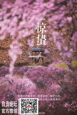 今日迎来24节气之惊蛰-5.jpg