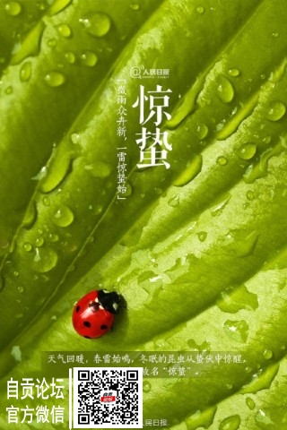 今日迎来24节气之惊蛰-3.jpg