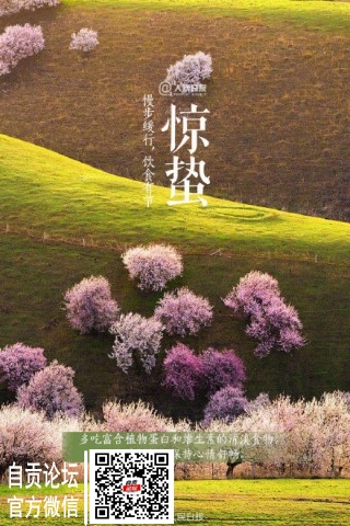 今日迎来24节气之惊蛰-7.jpg