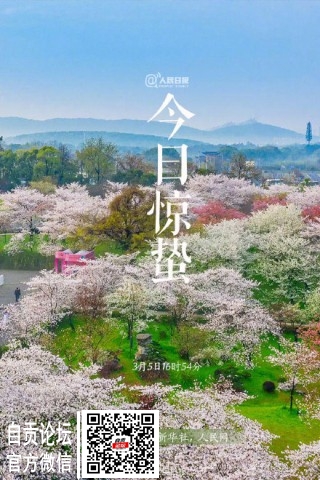 今日迎来24节气之惊蛰-4.jpg