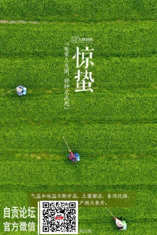 今日迎来24节气之惊蛰-9.jpg