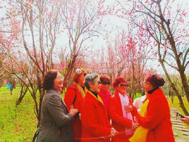 自贡尖山桃花盛开等你来品-1.jpg