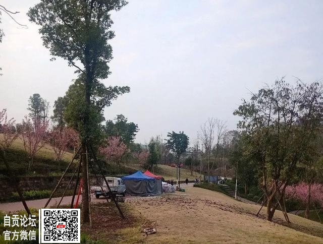 什么情况？富顺这公园垃圾遍地还没停，又有人在公园内搭棚-1.jpg