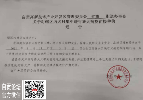 自贡养狗人收！这里将给狗狗接种狂犬疫苗-1.jpg