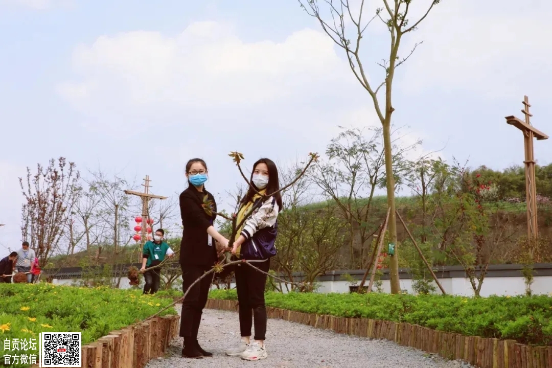 32万人次观看，100余万人次点赞，蓝城·春风桃源登上中国网，小镇又火了！！-7.jpg