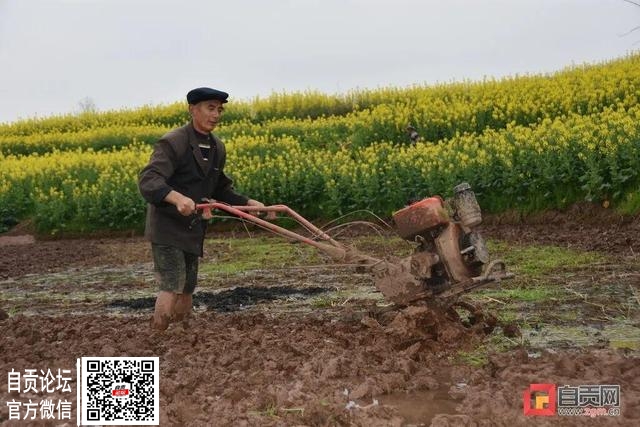 要升温了！自贡近期最高气温将升到-24.jpg