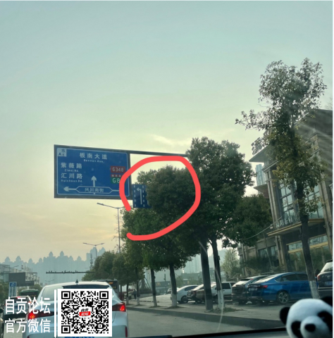 这个树子的枝丫都挡到指示牌了！-1.jpg