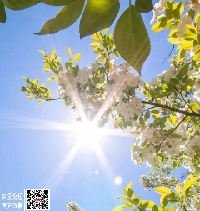 火箭式升温！富顺的春天要来了，气温飙至27℃！-1.jpg