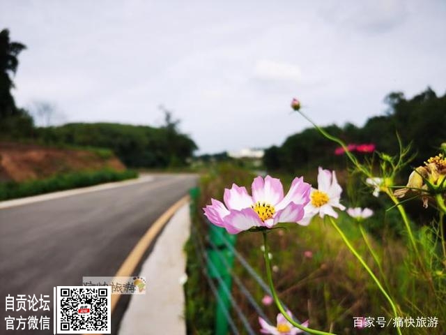 重启，自贡青龙湖马拉松首秀4月11日登场！-7.jpg