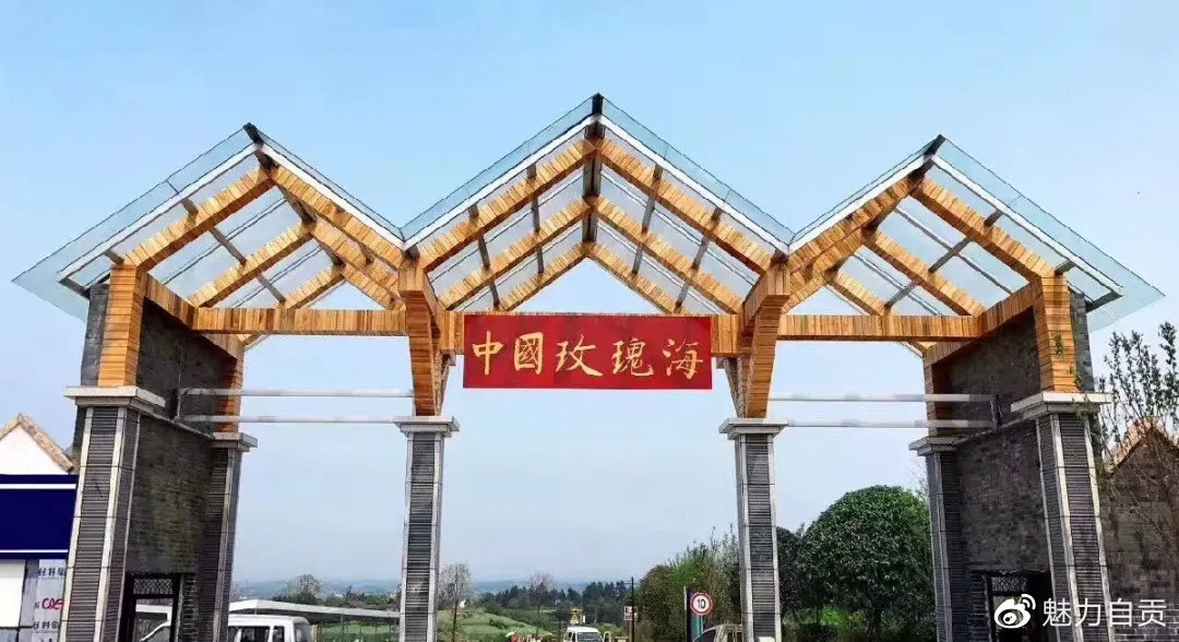 自贡中国玫瑰海第五届文化旅游节，门票无限量免费送！-4.jpg