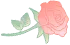 自贡中国玫瑰海第五届文化旅游节，门票无限量免费送！-28.jpg