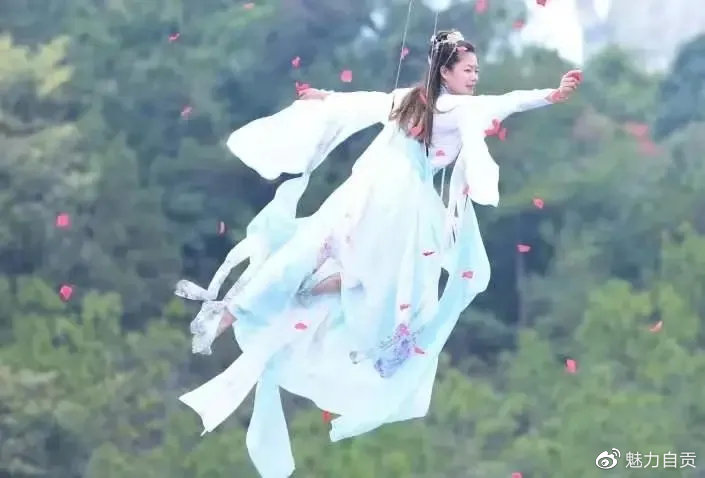 自贡中国玫瑰海第五届文化旅游节，门票无限量免费送！-57.jpg