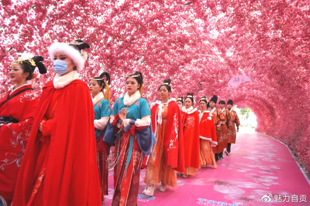 自贡中国玫瑰海第五届文化旅游节，门票无限量免费送！-64.jpg