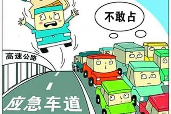 自贡灯会、恐龙博物馆“清明”期间最新出行指南来了！-10.jpg