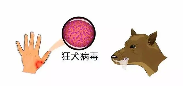 自贡市疾控中心发布四月疾病预警预测-4.jpg