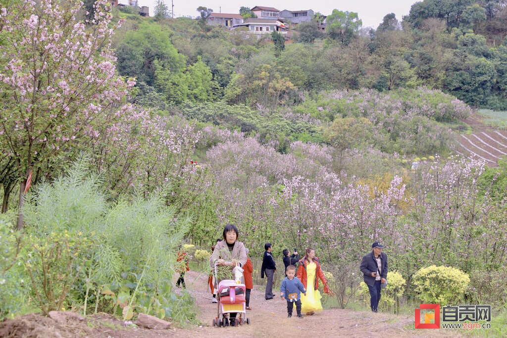 赏贡景 ▏天池山赏花走起！你想看的花儿都开了~-1.jpg