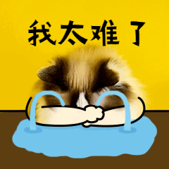 "自贡智慧停车"来了！手机一点就能找车位！-3.jpg