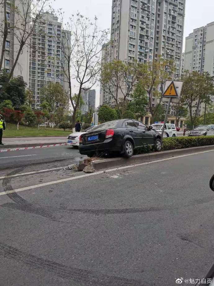 一小车直接飞上花坛了，这技术……自贡西山路。-1.jpg