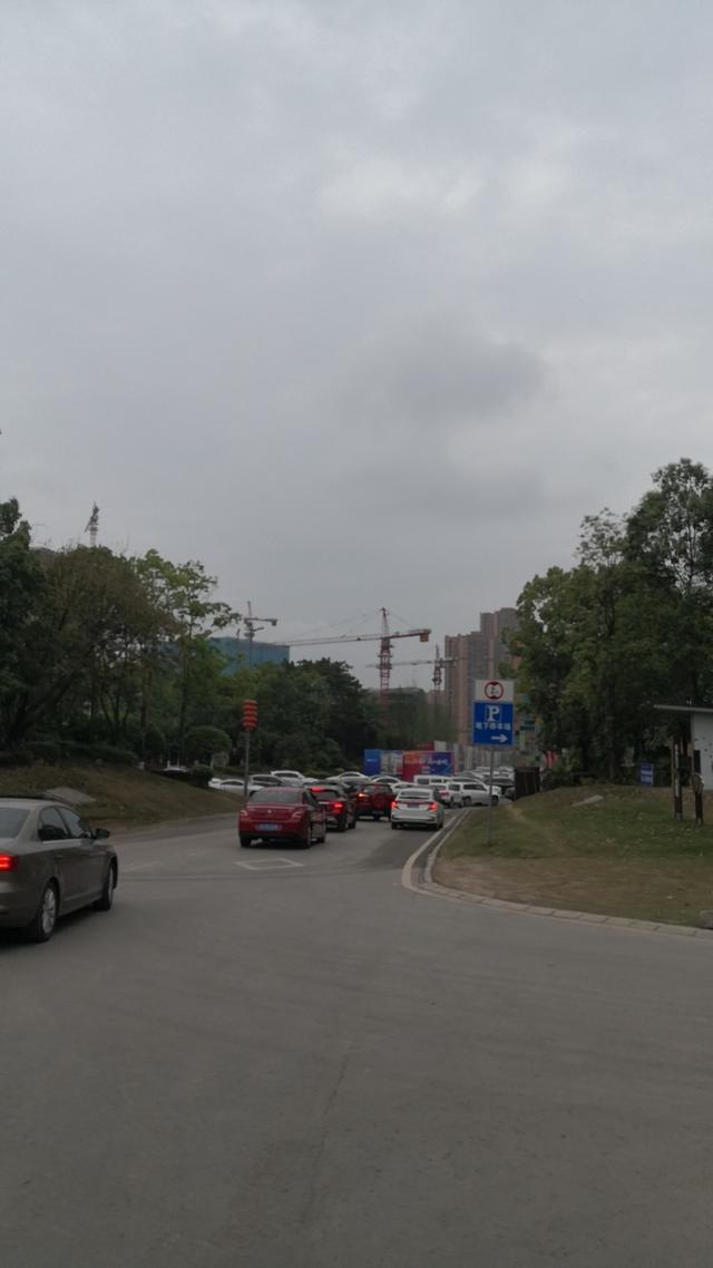 自贡迎宾大道旁多个小区居民出行“栏”？交警回复：临时管制已拆除-2.jpg