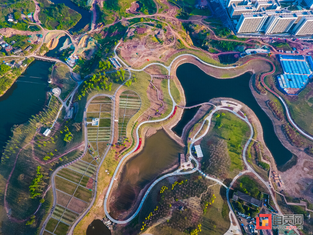 期待！自贡东部新城又将添一条景观大道-1.jpg