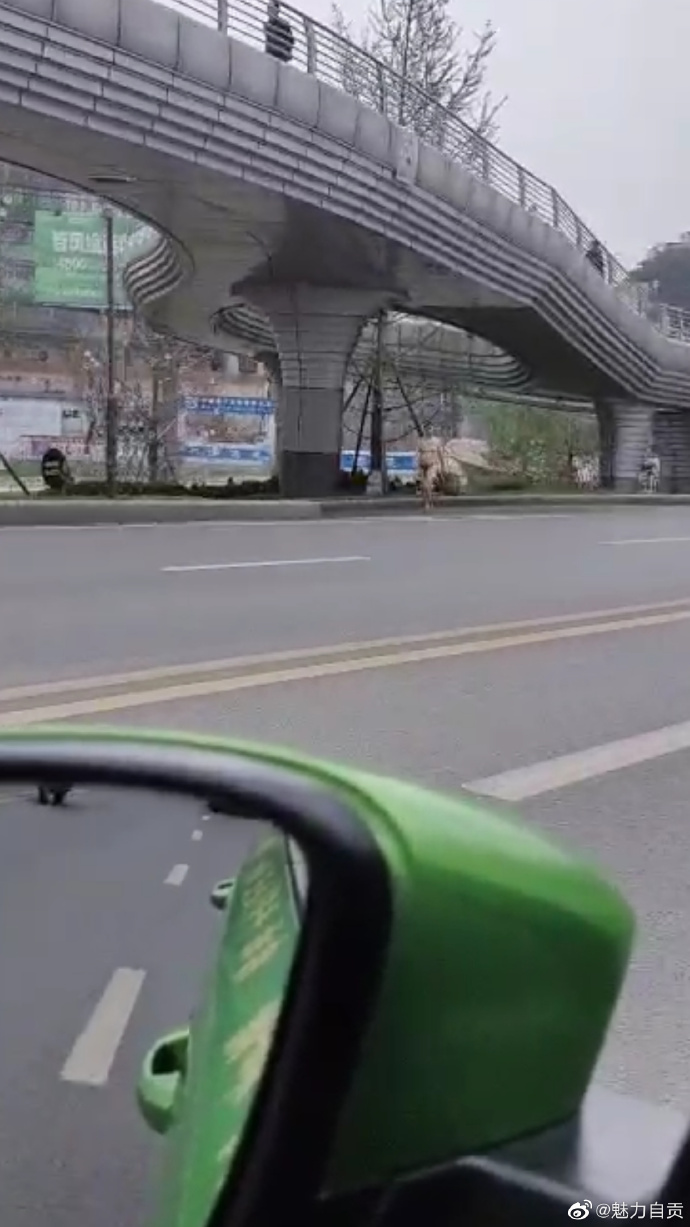 自贡一女子当街裸行，这是受了什么刺激？唉！-3.jpg