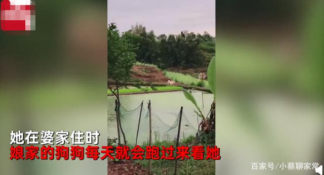 自贡一女子婚后住婆家，娘家狗子每天来看她，网友：娘家来的-2.jpg