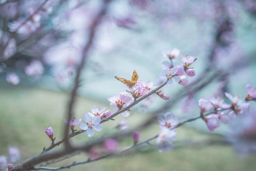 自贡4月19日~21日天气预报-2.jpg