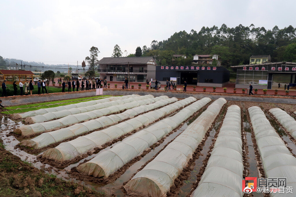自贡举行大春生产暨高标准农田建设推进现场会-1.jpg