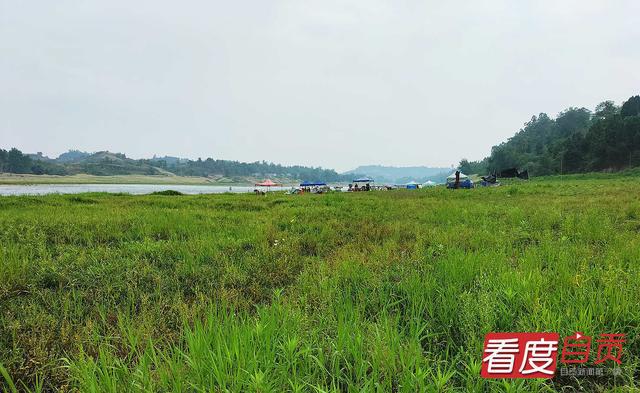 玫瑰开、青草香……自贡“网红草滩”升级了-3.jpg