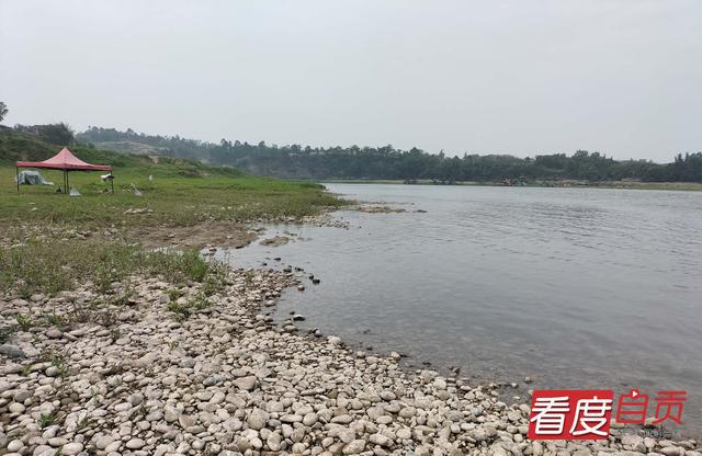 玫瑰开、青草香……自贡“网红草滩”升级了-1.jpg