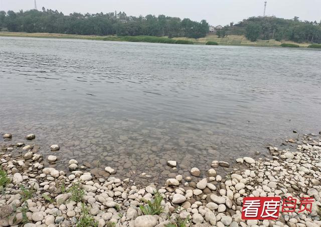 玫瑰开、青草香……自贡“网红草滩”升级了-6.jpg