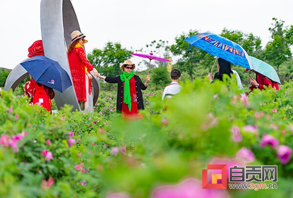 【魅力盐都 · 安逸灯城】“五一”期间自贡A级景区全部开放 推出八大乡村主题旅游活动-2.jpg