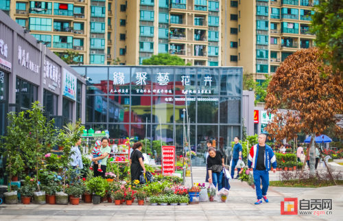 西山光凤片区棚改亮眼 自贡基本消除城市成片棚户区-6.jpg
